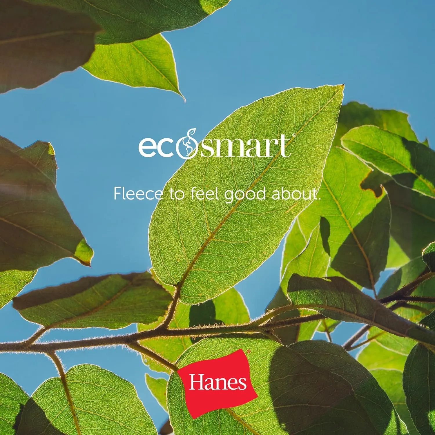 Hanes Womens EcoSmart Fleece Petite Sweatpants, Open Bottom Sweatpants, Petite, 28.5''