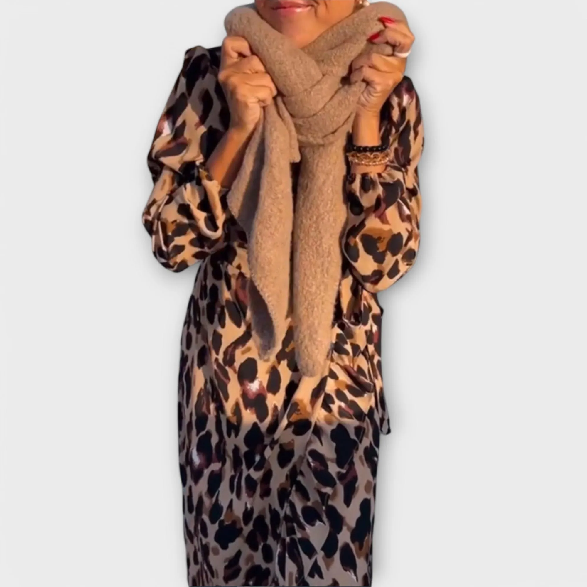 Lena Leopard Print V-Neck Dress